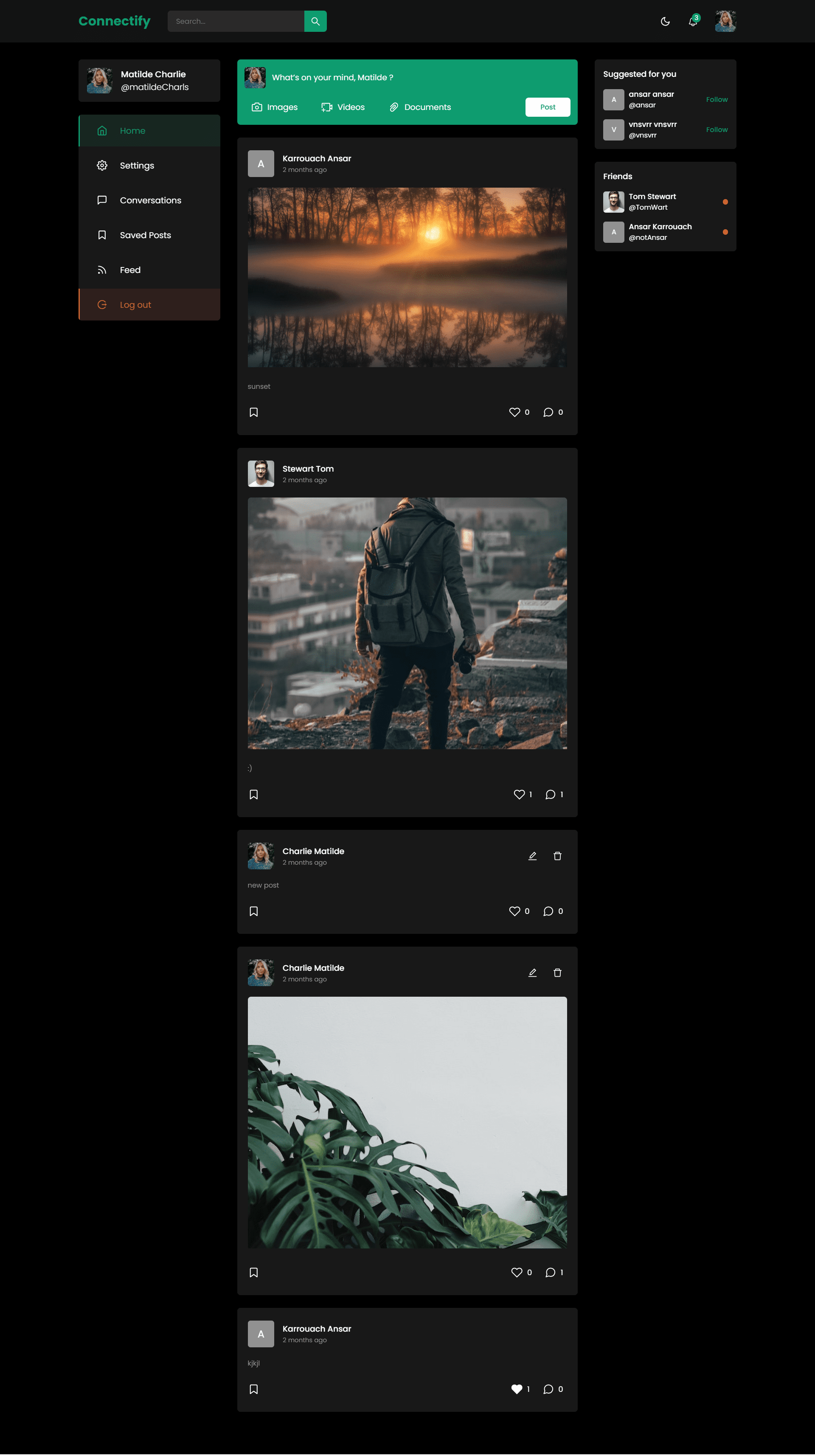 Feed